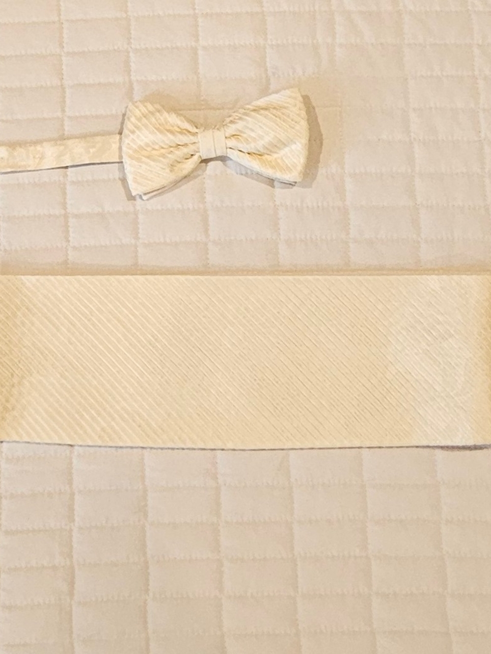 Stefano Ricci 100% Italian Silk Cream Textured Bow Tie and Cummerbund Set